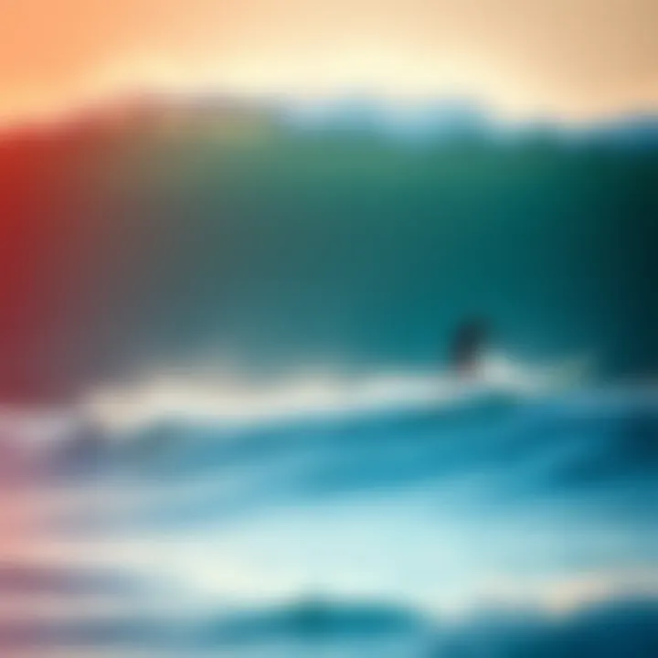 Magnificent The Comprehensive Guide to Buying a Used Surfboard