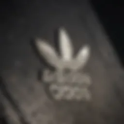 Iconic Adidas Logo