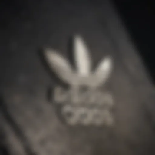 Iconic Adidas Logo