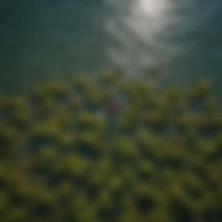 Aerial view of extreme athletes navigating through seaweed water course