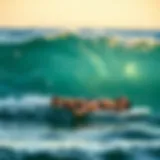 An In-Depth Exploration of Used iRocker Paddle Boards Introduction