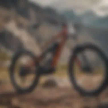 Durable and agile hardtail bike on rocky mountain terrain