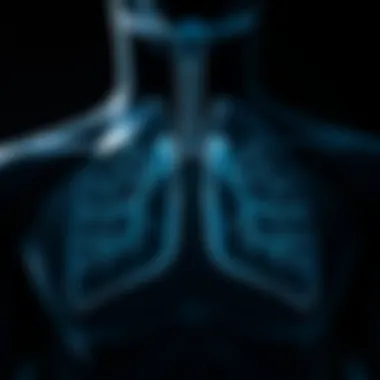 The Mechanics of Breath Expansion Illustration of lungs expanding during deep breaths