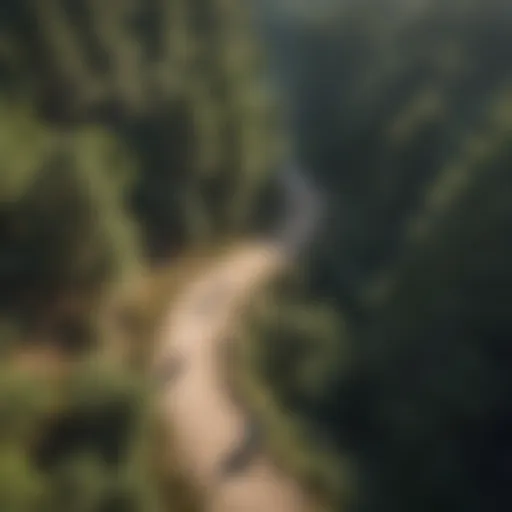 Aerial view of a well-designed mountain bike trail winding through a forest