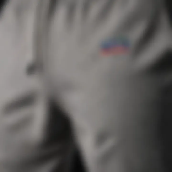 Detailed view showcasing the unique stitching of Champion Classic Reverse Weave Sweatpants