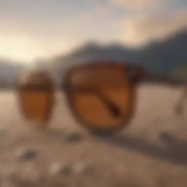 Chic Design Chic design of Ray-Ban Brown Havana sunglasses