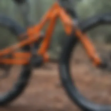 Close-up of Haibike DH Bike Suspension System