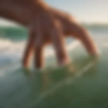 Close-up of surfer's hand waxing a surfboard