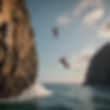 Participants enjoying a leap off a cliff into the ocean