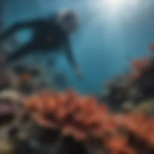 Marine Biologist Examining Coral Reef