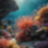 Colorful Coral Reef Ecosystem