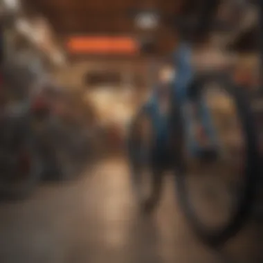 Cyclist choosing the perfect bike at a shop