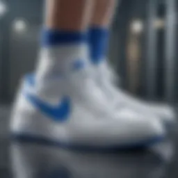 Elegant Nike Blue and White Shoes