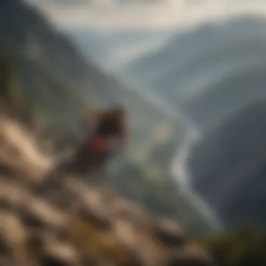 Dancing with Danger: The Mountain Ballet Embracing the Challenge of the Mountains