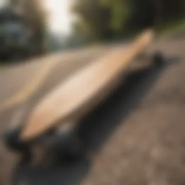 Various types of longboards displayed in an outdoor setting.