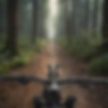 Mountain bike trail winding through dense forest