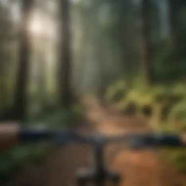 Scenic mountain biking trail with lush forest views in the US