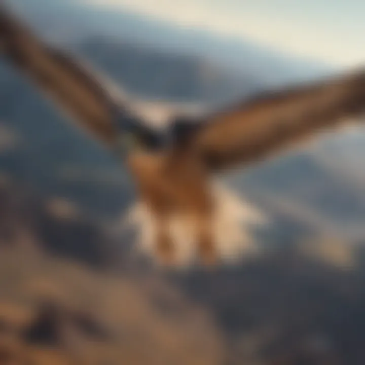 Majestic falcon soaring high amidst the vast expanse of the sky