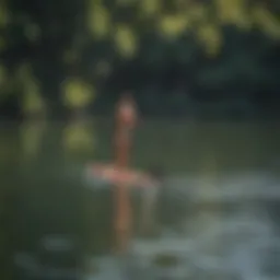 A scenic view of a paddle boarder gliding on Lady Bird Lake