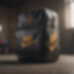 Nike SB Bag showcasing its innovative design