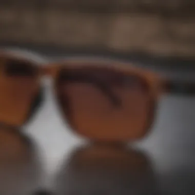 Maintenance Tips for Oakley Holbrook Prizm User-friendly maintenance tips for Oakley Holbrook Prizm sunglasses illustrated with cleaning tools