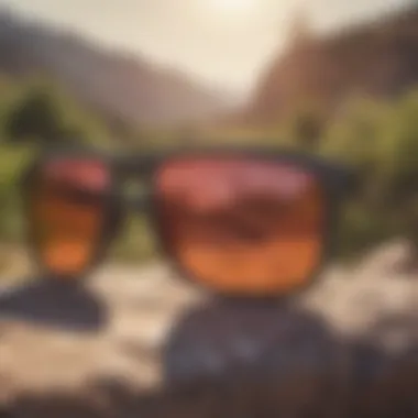 Stylish Oakley Holbrook Prizm Sunglasses Stylish Oakley Holbrook Prizm sunglasses displayed against a vibrant outdoor backdrop
