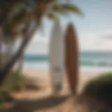 Lockable surfboard rack mounted in a coastal setting