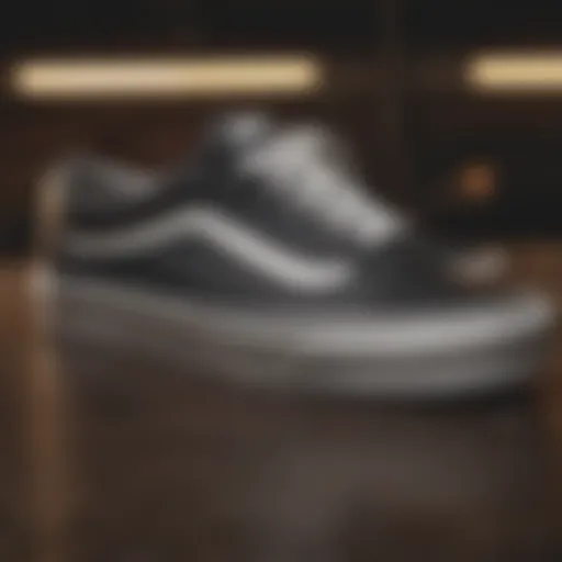 A vintage pair of Vans Classic sneakers showcasing their iconic design and heritage.