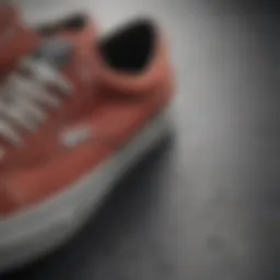 Close-up of Vans Skate Low Pro showcasing its unique design elements