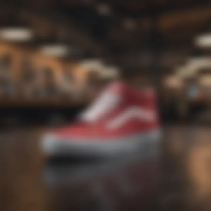 Bold and Edgy Vans Footwear Collection