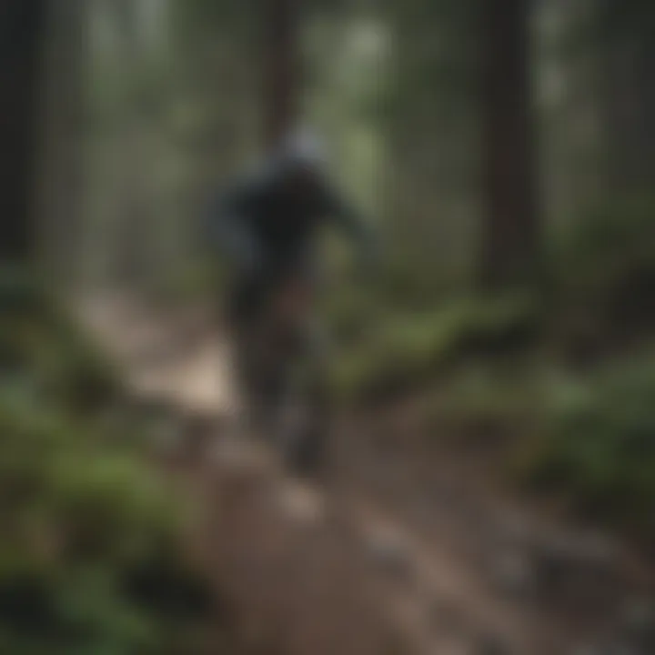 A scenic view of Whistler Mountain trails