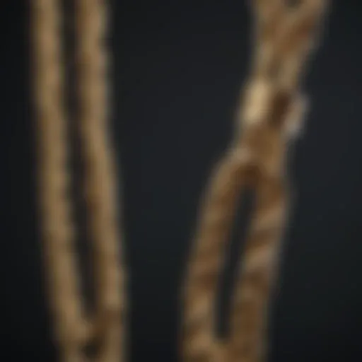 Luxurious 22k gold rope chain showcasing intricate craftsmanship