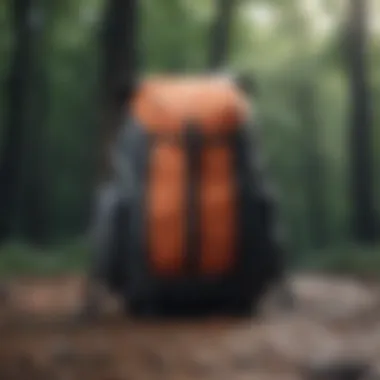 Functional and Ergonomic Nike Adventure Backpack