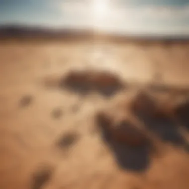 Heat Wave Formation Over Barren Lands