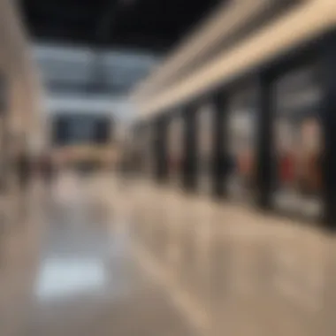 Luxury Shopping Haven Luxury Shopping Haven