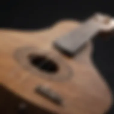 Immerse in the Musical Spectrum of Tuned Ukulele Notes Musical Note Spectrum