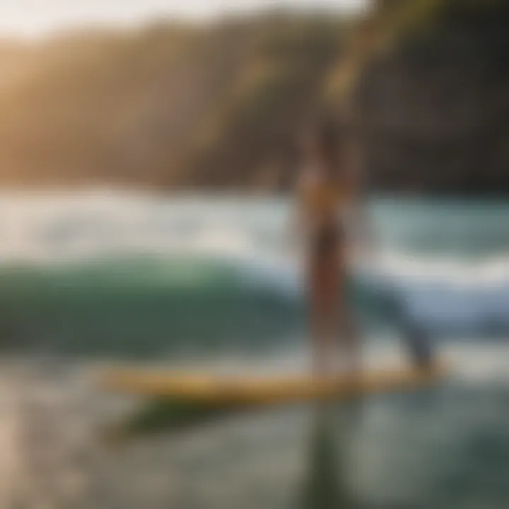 A diverse range of Naish paddleboard models displayed on the beach, highlighting the variety available.
