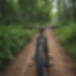 A panoramic view of a mountain bike trail winding through lush greenery in Salt Lake City.