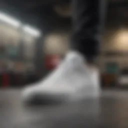 Innovative Nike SB Nyjah Free 2.0 Summit White Skate Shoes Design