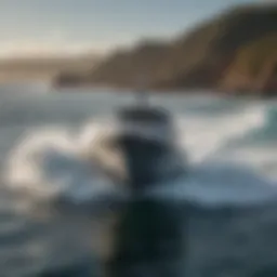Dynamic view of the O'Neill Cruiser in action on the waves