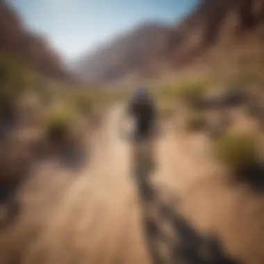 Biking Trails in the Desert Biking along scenic trails with desert landscapes in the backdrop