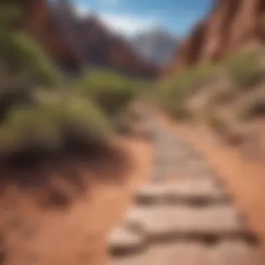 Hiking Trails in Red Rock Canyon Scenic view of Red Rock Canyon showcasing hiking trails
