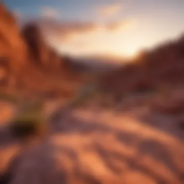 Sunset at Valley of Fire State Park Stunning sunset over the Valley of Fire, showcasing vibrant rock formations