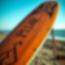 Close-up view of Pintail Deck featuring unique design elements