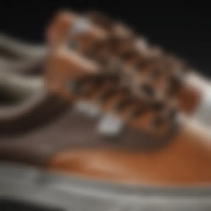 Close-Up of Vans Safari Multi Era Sneakers Detailing Quality Craftsmanship