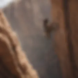 Thrill-seekers performing daring stunts at Rampage Festival