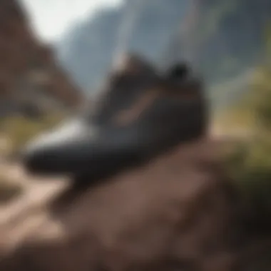 Vans MTE Shoe Conquering Rugged Terrain Vans MTE Shoe Conquering Rugged Terrain