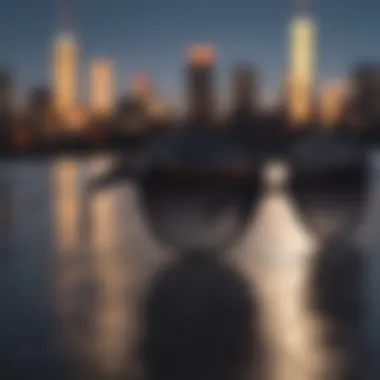 Round black Ray Bans against city skyline at dusk