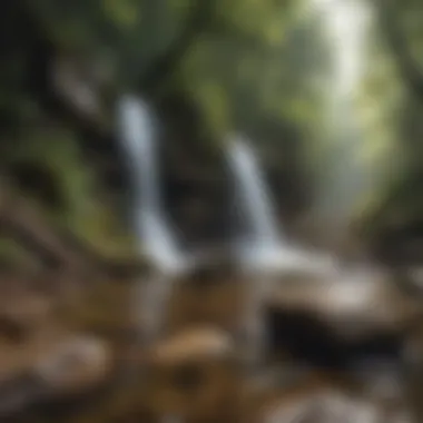 Serenity of a hidden waterfall along a hiking path