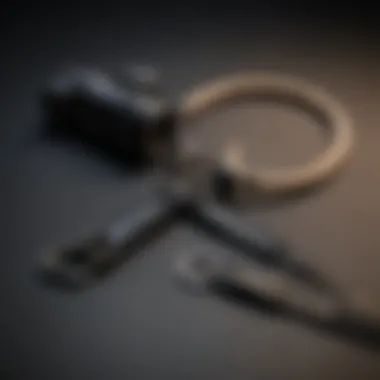 Sleek and Sturdy Key Lanyard Sleek and Sturdy Key Lanyard